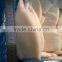 Frozen fresh new produced U5 squid tube