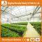 Heracles Trade Assurance agricultural tunnel Greenhouse