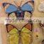 Lovely & Vivid Butterfly Sticker in various colors, Popular Scrapbooking Decorative Sticker