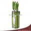 6pcs ABS Handle Color Printing Kitchen Knife Set With Block