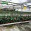 New Design Greenhouse Netting Bed In Plants Nursery In Sri Lanka