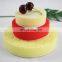 Professional Car polish round wash sponge pad