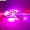 RGB SMD5050 Multi color pixel diffuse addressable led strip light ws2812b 5v