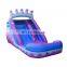 Pink Purple Water Slides Backyard Inflatable Crown Water Slide Kids