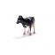 Custom Holstein Friesian Figure Pvc Holstein Cow Animal Model Toy Vivid Holstein Friesian Cow Action Figure