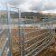 Oval Rail Cattle Yard Panels Galvanized