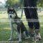 Quickly release dog harness soft material outdoor pet harness full size