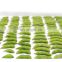 Sinocharm New Variety Frozen Edamame IQF Frozen Soybean With 50% Up Three Kernels In Pods