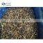 HACCP BRC KOSHER China Frozen Silk Black Fungus