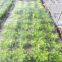 2.5 x 10M Insect Bird Animal Garden Net Vegetables Plant Protection Crop Mesh Netting Vegetable Garden Insect Net