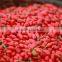 Factory Supply Efficient Fruit Washing Machine
