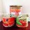 competitively priced 1kg canned tomato heavy puree with brix 28% to 30% sell like wildfire in Africa