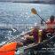 Supplying SUN LIFE 2 passengers clear plastic kayaks with 2 paddles,2 seats and 2 airbags.