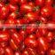 multifunction fruit size sorting and grading machine