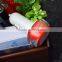 Dual usb port Phone Car Charger for all digital devices total output 5V 3.0A