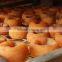 Dry Persimmon cakes,Frost Persimmon Cake