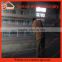 Laying hens used poultry battery cages for sale