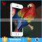 9H 2.5D Round edge 0.33mm high transparent color tempered glass screen protector for iphone 5 6