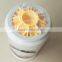 Fuel Filter Water Separator FS36241
