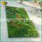 vertical plastic green wall artificial green wall for home garden