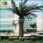 outdoor palm plants decorative artificial date plam tree fake tree
