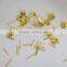 China supplier High Quality Brass Silver Locking Pin Keepers Backs
