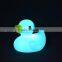 Electronic duck lamp automatic color changed night light LED light