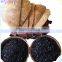 Coconut Shell Based Extruded Activated Carbon