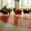 Nonslip and Waterproof Plastic Flooring
