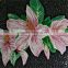 LJ JY-JH-HT01-A Sweet Pink Glass Flower Mosaic Mural Tile Bedroom Backsplash