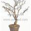 Top Selling 95CM Acrylic Table Tree Centerpiece