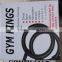 ABS Gym Ring with Nylon strap
