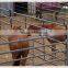 ranch animal cattle horse sheep cage fence panel