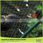 China Exporter Anti Netting Bird