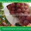 Import China Products of Fresh Red Globe Grape