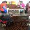 2016 Fresh chestnut in gunny bag