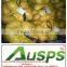 good chinese fresh potato supplier