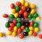 Sunflower seeds chocolate Stone Chocolate candy button chocolate sweet candy chocolate