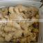 Good quality Chinese fresh ginger