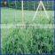 Tomato Plant Iron Spiral Support Stakes Popular in Italy Market