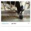 Galvanized Pipe Cow Headlock