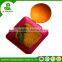 Professional biochemical fertilizer for plant growth for fruit