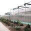 Hot Sale Single Span Plastic Film Agricultual Greenhouse