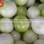 high quality hot sale onion peeler