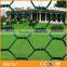pvc coated green hexagonal wire mesh/bird cages/chicken cage