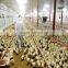 Prefab Cold Formed Steel Chicken Farm/Shed/Building