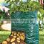 cucumber grow planter bag