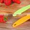 factory direct sell cheap strawberry huller tomato huller tomato cutter