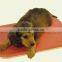 Mats & Pads Bed & Accessory Type and Small Animals Application pet heating mat