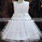 Hot selling import wedding dress 2015 new arrival